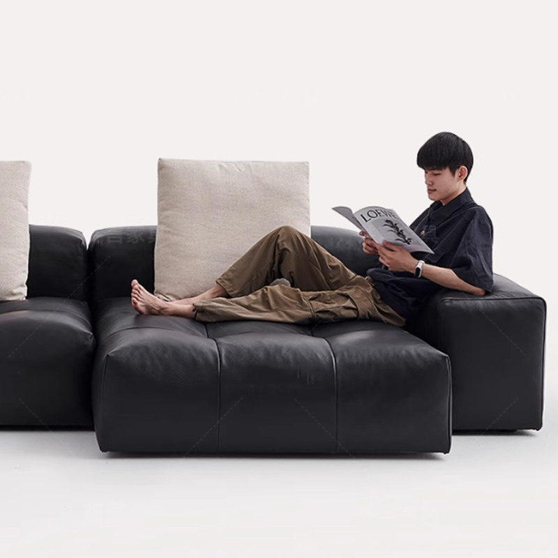 Nordic Leder Komprimiertes Sof – Home Cinema Furniture Bewertung und Preis
